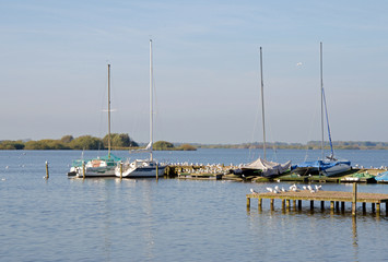 Dümmer 2