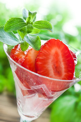 Erdbeeren und Stevia