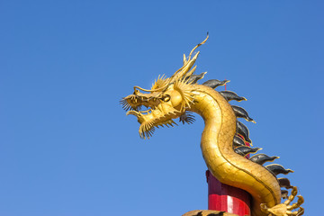 Fototapeta na wymiar gold dragon on pole in Thailand