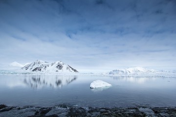 Arktyczna wiosna na południowym Spitsbergenie