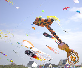 Naklejka premium cerf-volant
