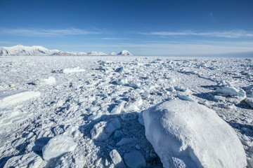 Arktyczna wiosna na południowym Spitsbergenie © KrisGrabiec
