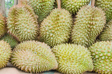 Group of Durian in the market Thailand