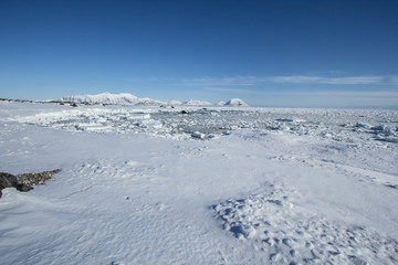 Arktyczna wiosna na południowym Spitsbergenie © KrisGrabiec