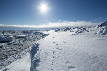 Arktyczna wiosna na południowym Spitsbergenie © KrisGrabiec