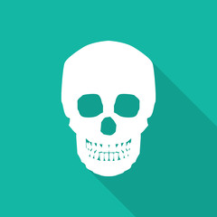 Orthopedic  symbol icon with long shadow.