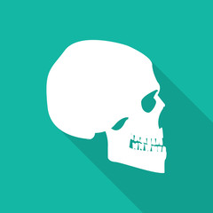 Orthopedic  symbol icon with long shadow.