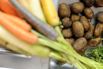 kartoffeln und bunte Karotten oder Möhren frisch vom Feld 