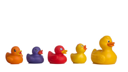 Row of different colors of rubber ducks isolated on a white background