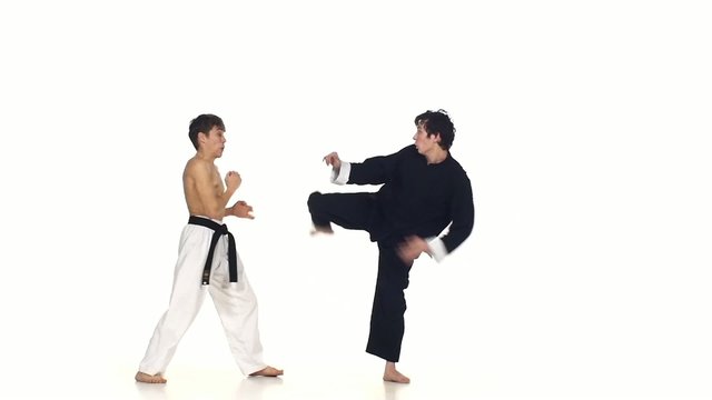 Sparrynh taekwondo and wushu or karate man on a white background