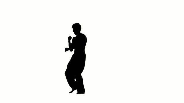 Man training taekwondo or karate jumping, high kick and fist