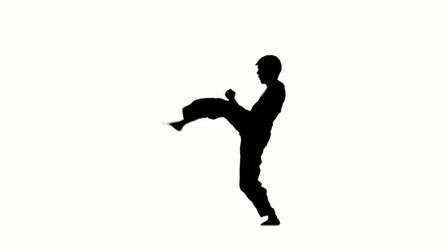 Man training taekwondo or karate jumping, high kick and fist