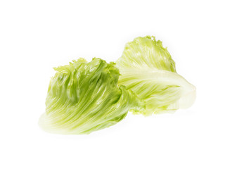 Fresh Green Iceberg lettuce