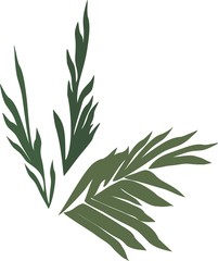 
Silhouettes of palm leaves set