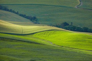 Obraz premium Beautiful Tuscany hills, Italy.