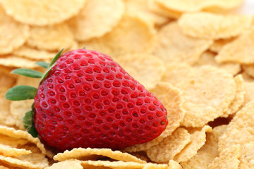 close-up ripe strawberry and flakes
