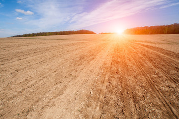 Sunrise over the brown field