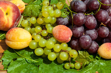 Grapes and apricots