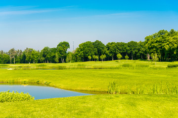 Obraz premium spring landscape