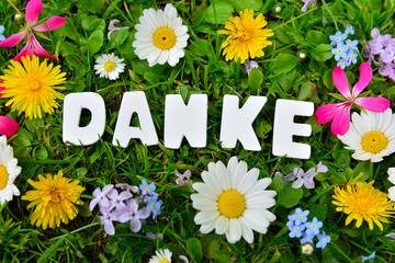 Danke Text auf Blumen Wiese