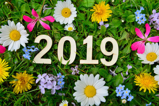2019 Jahr Silvester Neujahr