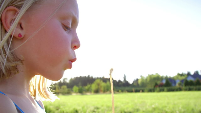 Young blonde girl blows dandelion in the park.