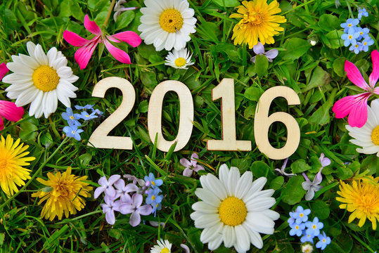 2016 Jahr Silvester Neujahr