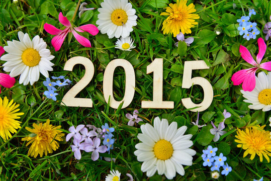 2015 Jahr Silvester Neujahr