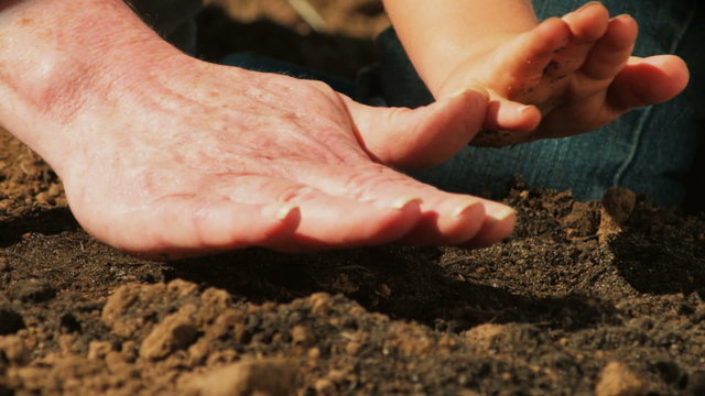 A Grandmother and granddaughter pat soil as they garden together.