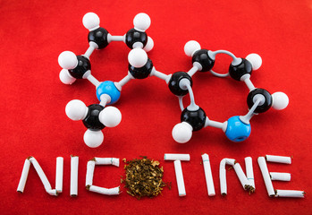 Nicotine molecular structure