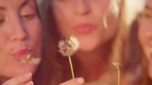 Three young women blowing dandelions in the park