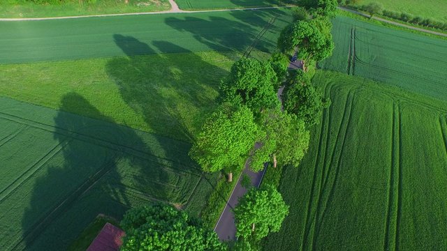 Luftaufnahme Flug &uuml;ber Allee mit Autos im Abendlicht