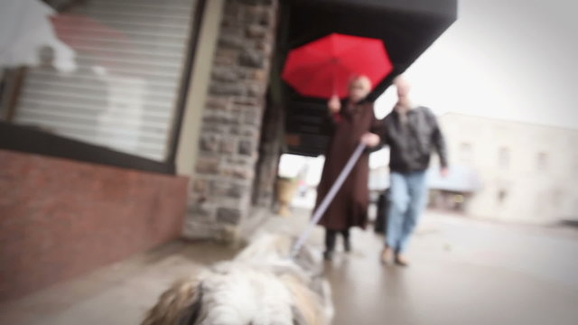 A old couple walks down the street under a red umbrella with their dog