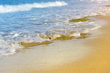 Shiny tropic sea wave on golden beach sand in sunset light