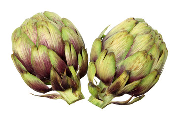 Fototapeta premium Artichoke