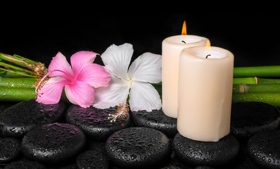 spa concept of zen basalt stones, white and pink hibiscus flower