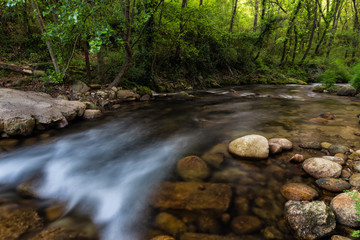 Garganta de Pedro Chate