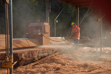 Fototapeta premium sawing the log