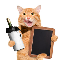 Cat with wine.