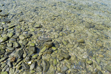 Stone for pattern background