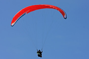 Paraglider