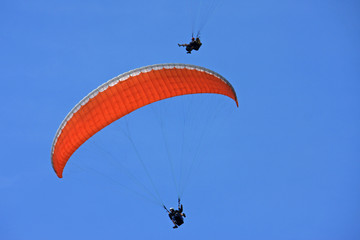 Paraglider