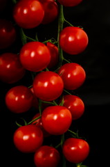 Fresh vine Cherry tomatoes on a black background