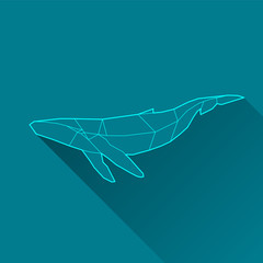 Fototapeta premium whale wireframe