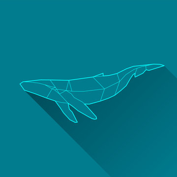 whale wireframe