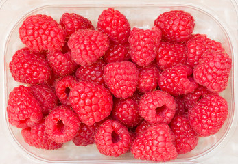 Rasberry