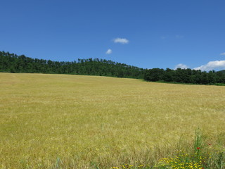 campagna