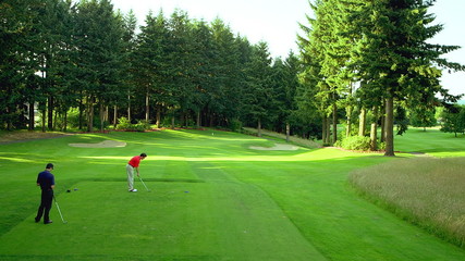 One golfer makes a good shot onto the green and gives a high five to his partner - Powered by Adobe