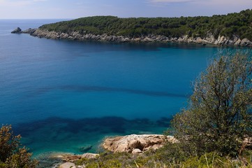 Obraz premium A beautiful landscape of Fetovaia beach in Elba island-Italy
