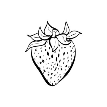 Illustration of doodle strawberry